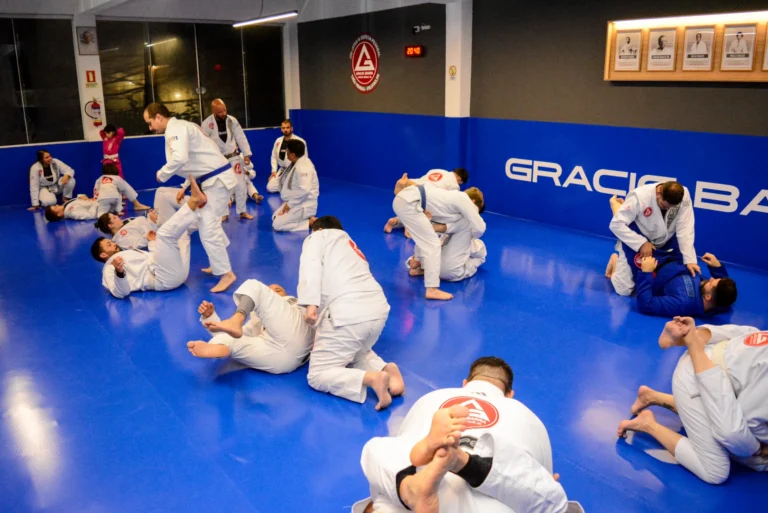 GRACIE BARRA - Pelotas